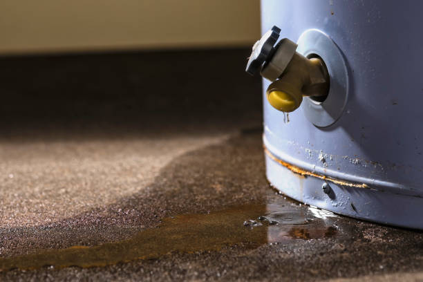Best Water damage restoration services  in Lake Of The Woods, IL