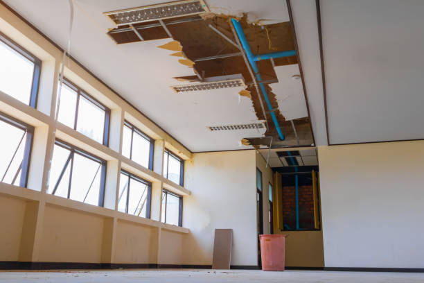 Best 24-hour water damage restoration  in Lake Of The Woods, IL