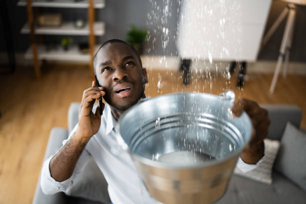  Lake Of The Woods, IL Water damage restoration Pros