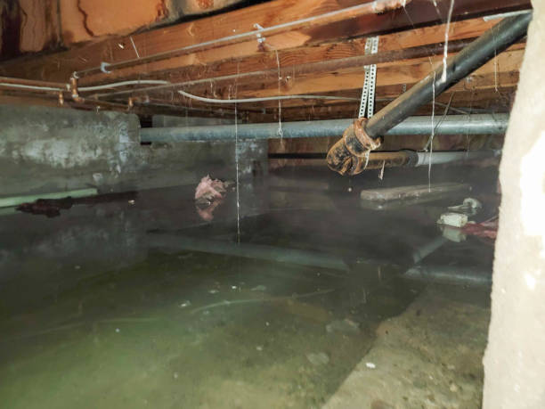 Best Residential water damage restoration  in Lake Of The Woods, IL