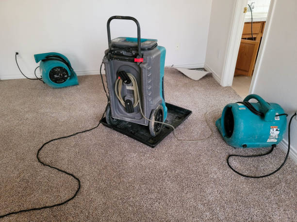 Best Water damage cleanup near me  in Lake Of The Woods, IL