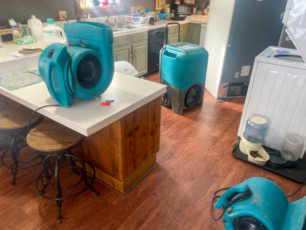 Best Local water damage restoration  in Lake Of The Woods, IL