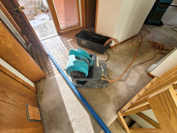 Best Emergency water damage restoration  in Lake Of The Woods, IL