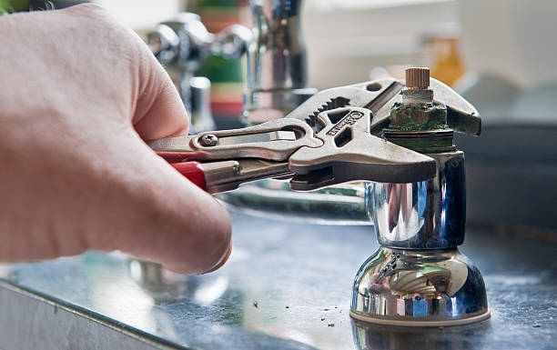 Best Flood damage cleanup  in Lake Of The Woods, IL