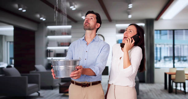 Best Professional water damage repair  in Lake Of The Woods, IL