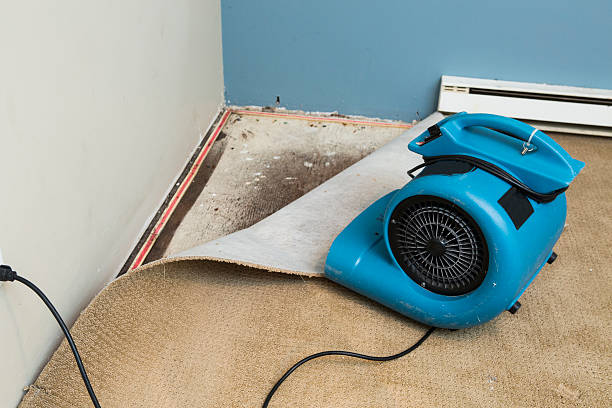 Best Water damage restoration near me  in Lake Of The Woods, IL